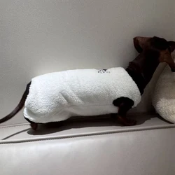 Ropa de invierno para perros salchicha - Mono felpa suave