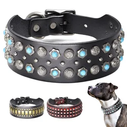 Collar de cuero para Pitbull – Resistente y elegante para perros grandes