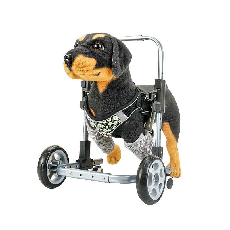 Silla de ruedas para patas delanteras en perros pequeños discapacitados - imagen 2