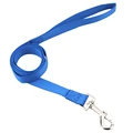Blue Leash