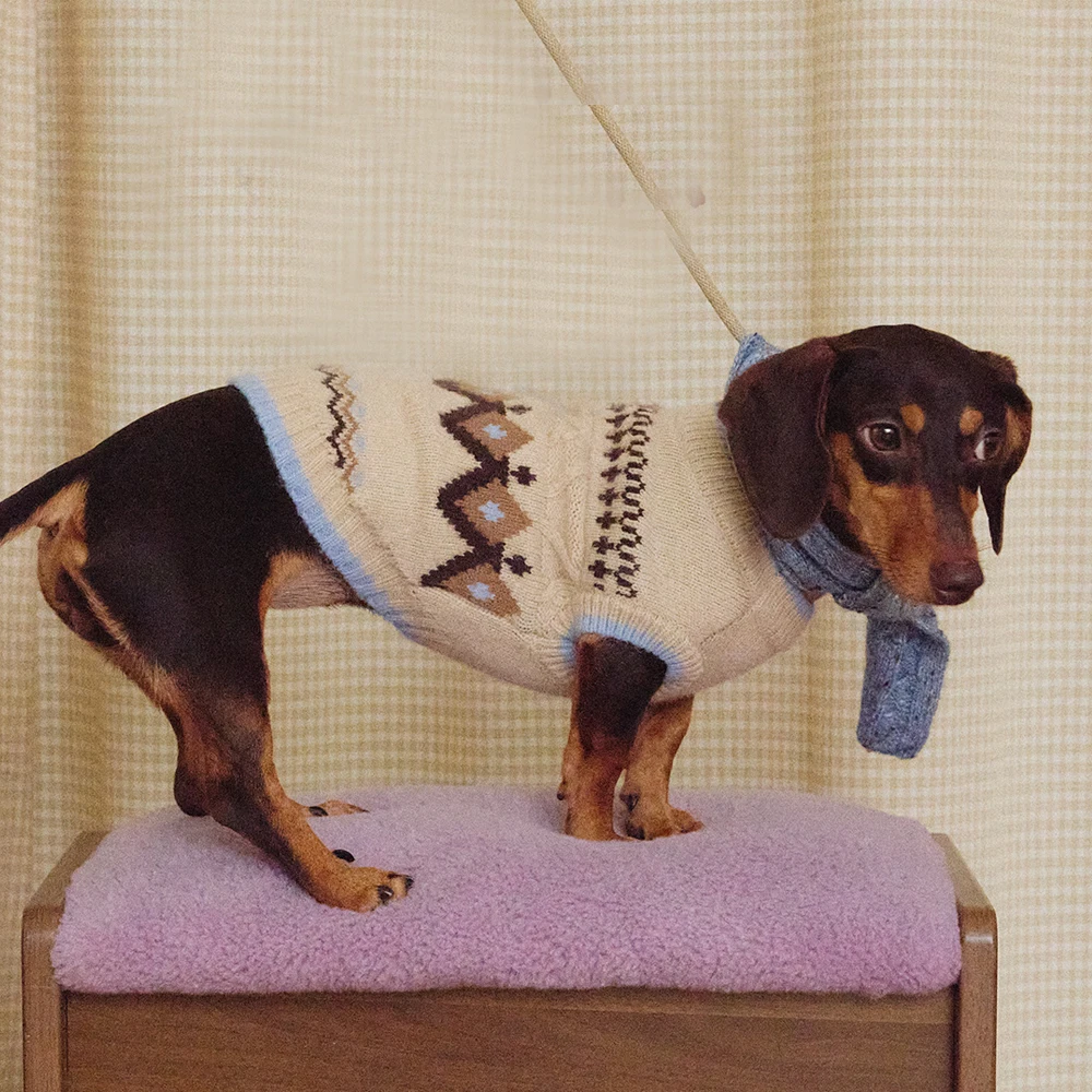 Jersey de punto para perro salchicha – Abrigo cálido artesanal - imagen 2