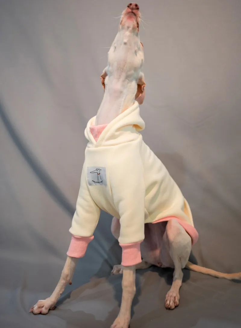 Sudadera CON CAPUCHA DE Galgo Italiano, Whippet, sudadera de invierno de algodón, Galaxia italiana, ropa para perros pequeños y medianos - imagen 4