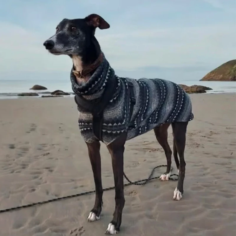 Chaleco para perro de cuello alto a rayas, color gris y negro, para galgo, sin mangas, ropa de alta elasticidad para Whipbit en otoño, primavera - imagen 2