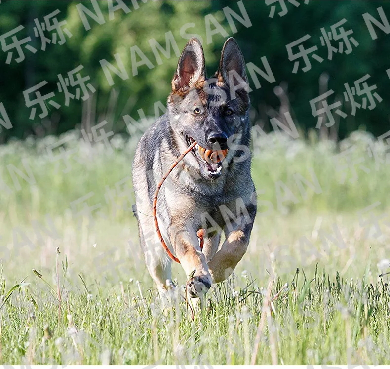 Pelota de goma resistente para perros con cuerda, vista frontal