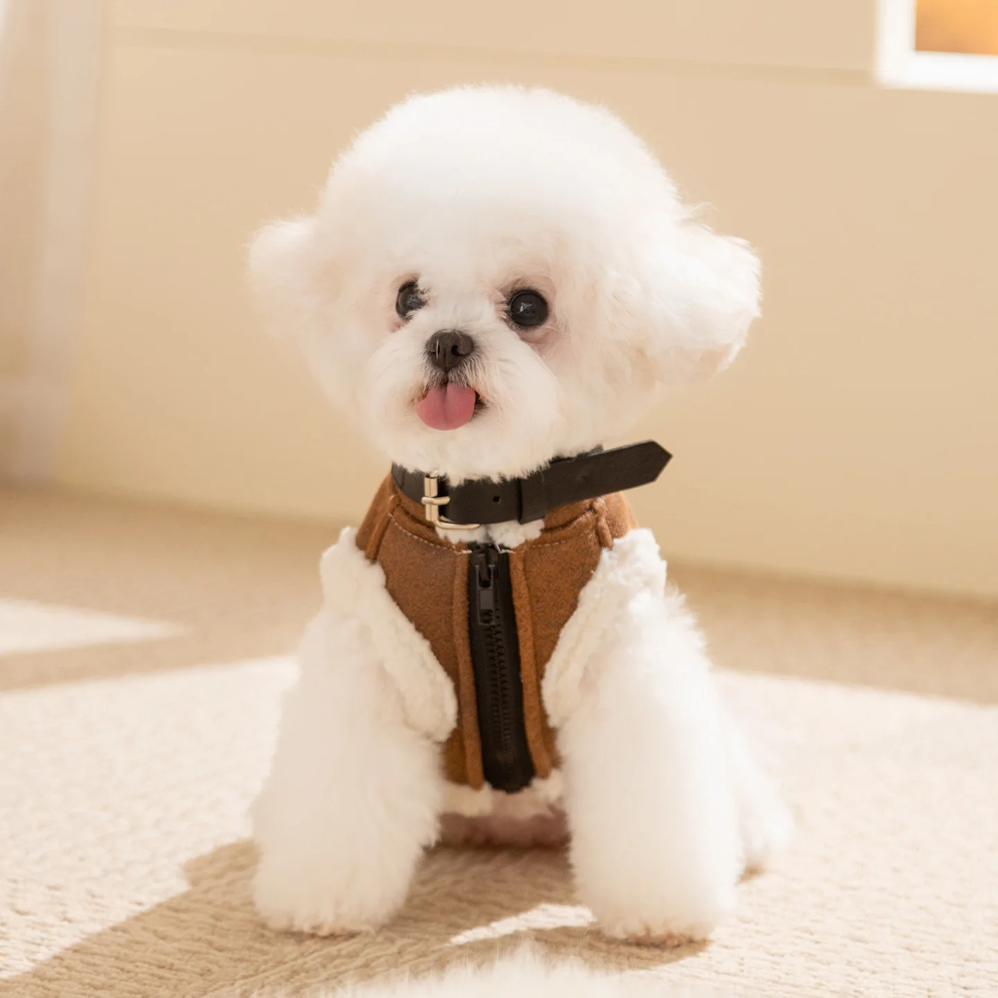 Chaqueta de felpa para mascotas de otoño/invierno, chaleco de tracción para perros pequeños y medianos, chaqueta para gatos, ropa para perros pequeños, ropa para cachorros - imagen 3