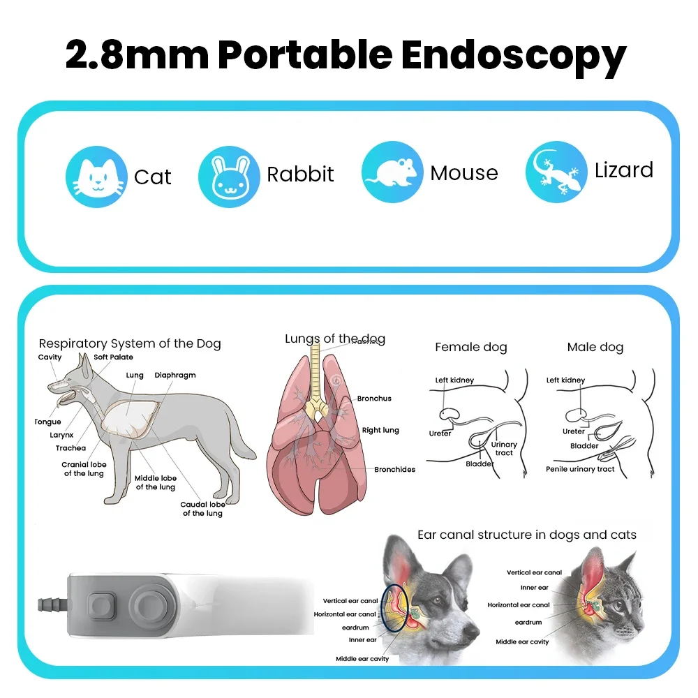 Cámara endoscópica veterinaria ENT de 2,8mm, endoscopia de urología Flexible multifunción para animales pequeños, mascotas, gatos, perros, PC, uso Android - imagen 2