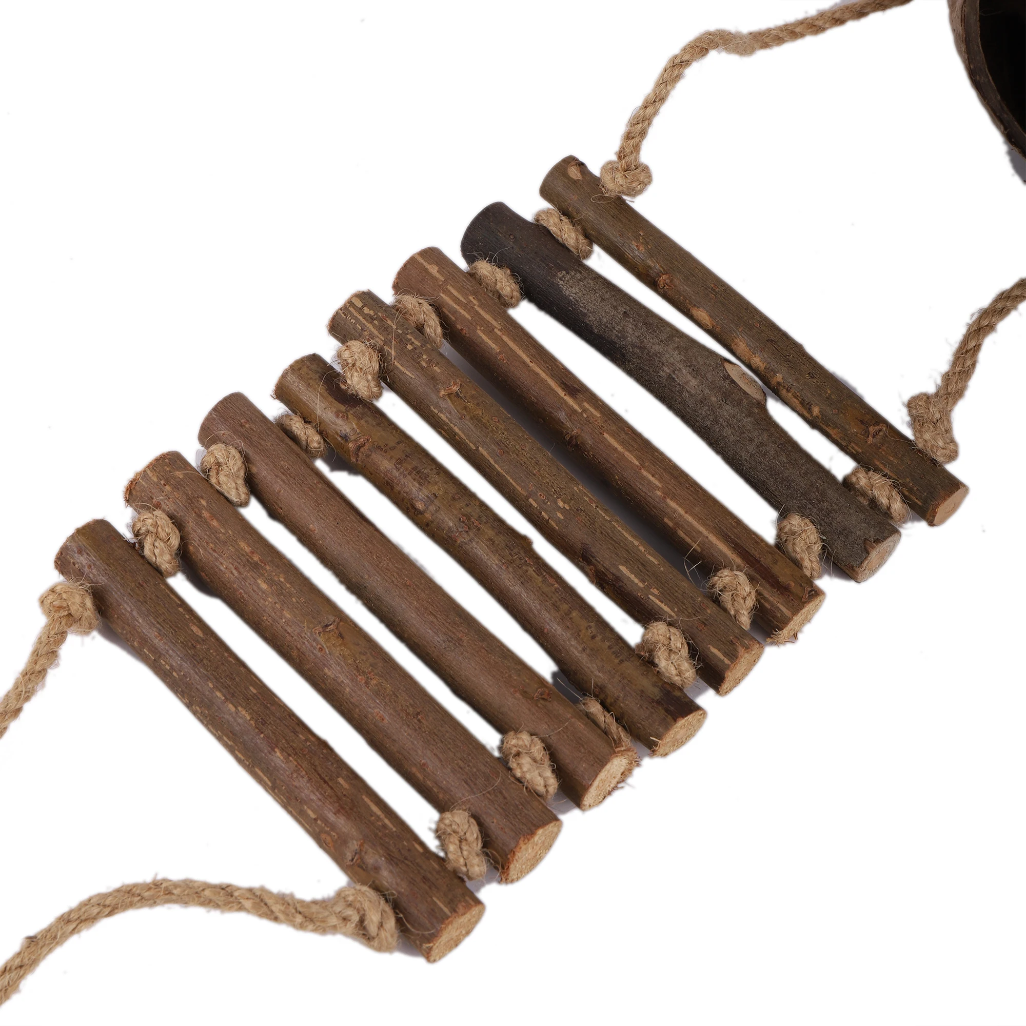 Casa para pájaros de coco, nido para pájaros en forma de coco Natural, ocultar con escalera, jaula para casa de pájaros, juguete para mascotas, loro, 1 Juego - imagen 4