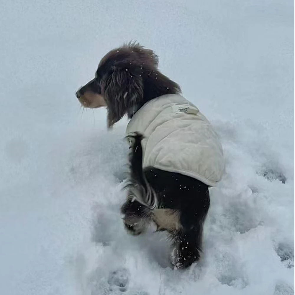 Chaqueta gruesa de lana Beige para perros Wiener, chaleco cálido de invierno para perros salchicha, ropa de descanso suave para perros salchichas de medios pequeños - imagen 3