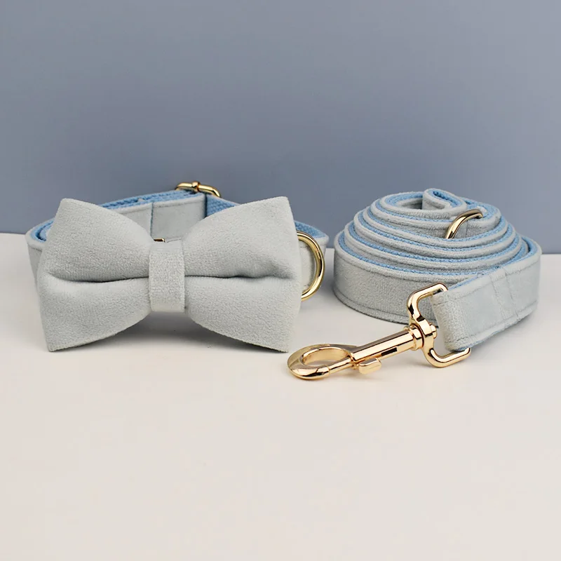 Juego de Collar y correa de terciopelo azul claro para perros, placa de identificación grabada personalizada, suministros para mascotas, correa para perros Velvet35 - imagen 3