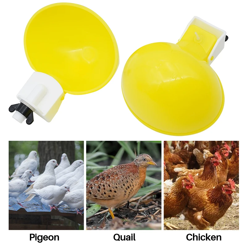 Cuenco bebedero para pollos, vasos de agua colgantes para beber pato, dispensador de fuente, herramientas, suministros para animales de granja, 3/6 piezas - imagen 3
