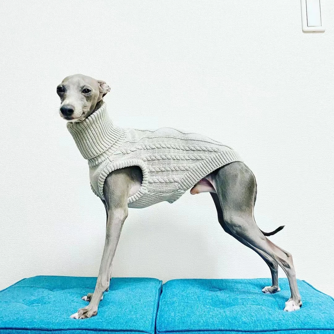 Suéter de cuello alto para galgo, whippet, galgo, saluki, lurcher, galgo Italiano, ropa de puente de lana suave para perro - imagen 2