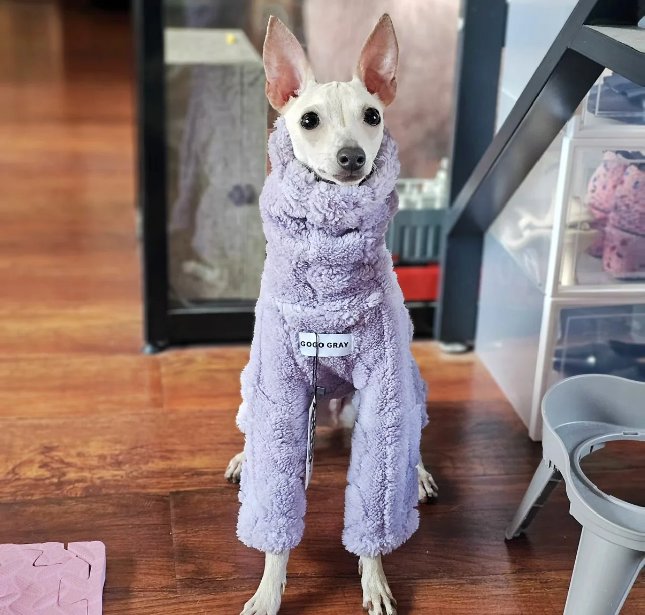 Suéter morado de 4 patas de felpa larga a la moda para galgo, abrigo grueso y cálido de manga larga con cuello alto para caniques, ropa de descanso Whippet - imagen 2