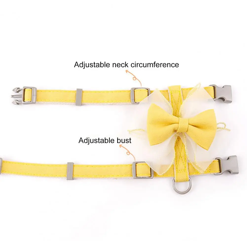 Conjunto de correa de arnés desmontable para perro y gato, conjunto de arnés para mascotas - imagen 3