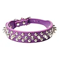Collar Purple