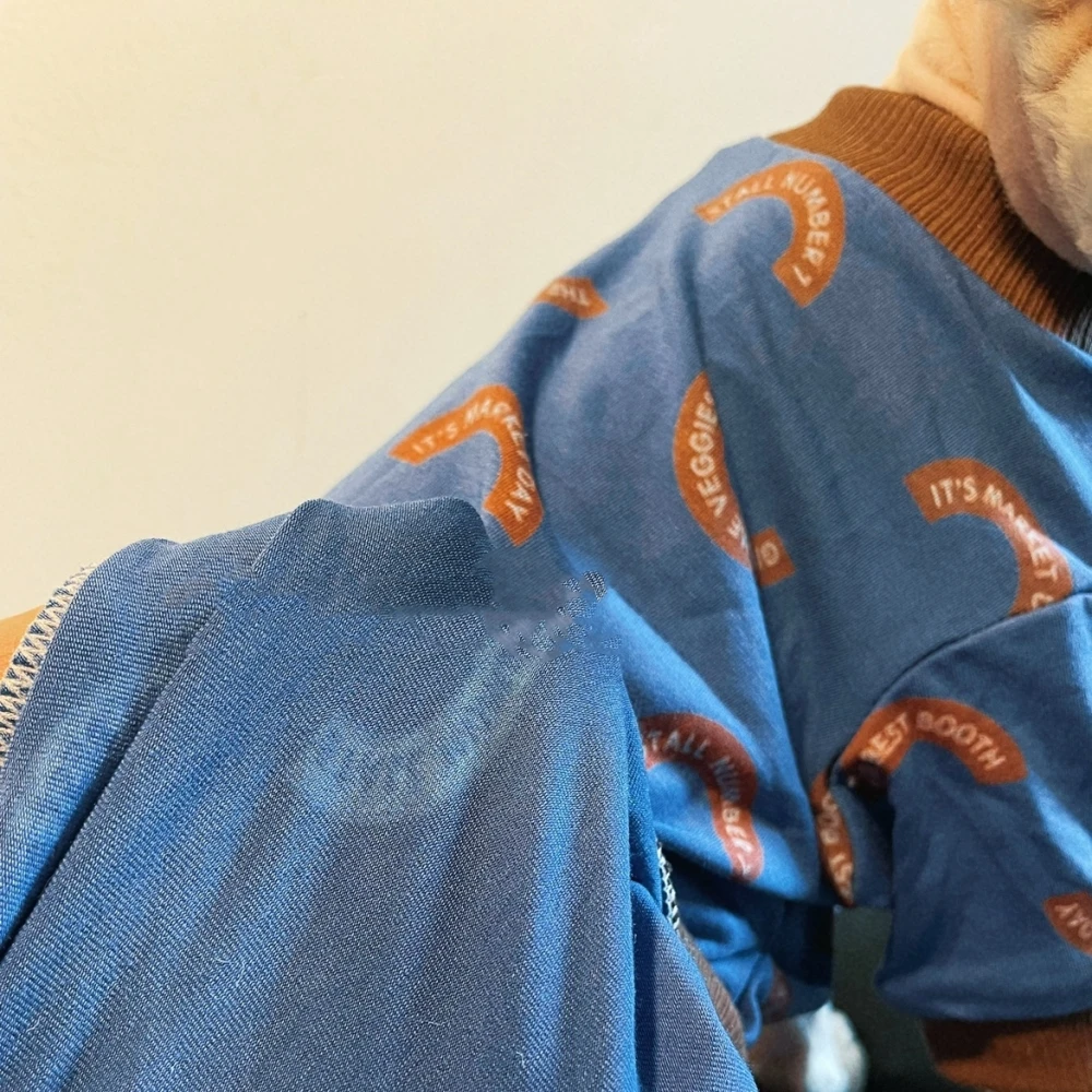 Sudadera de algodón de primavera de ropa de gato Abrigo de dibujos animados Elestic para Sphynx Camiseta de letras azules de moda de gato para gatitos en verano - imagen 5