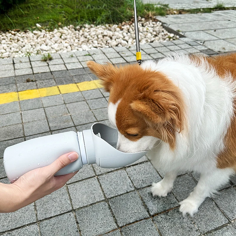 Taza plegable para caminar al aire libre para mascotas, botella de agua portátil de viaje para cachorros, gatos y perros, dispensador de agua potable, suministros de taza, 550ml - imagen 2
