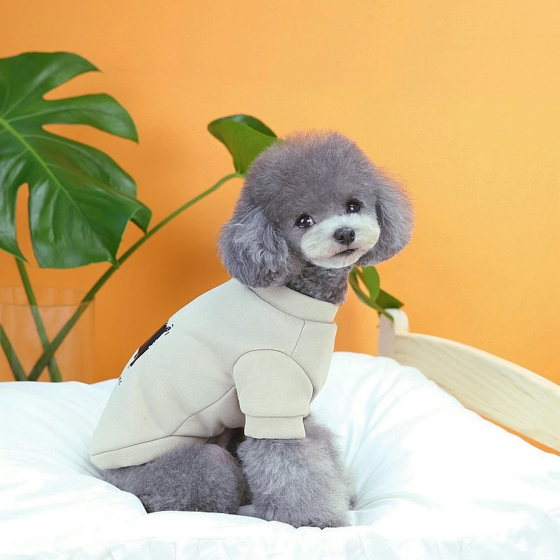 Perro pequeño con el mono puesto