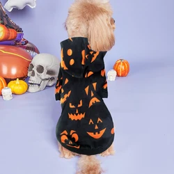 Disfraz Halloween para perros pequeños – Capucha negra con calabaza