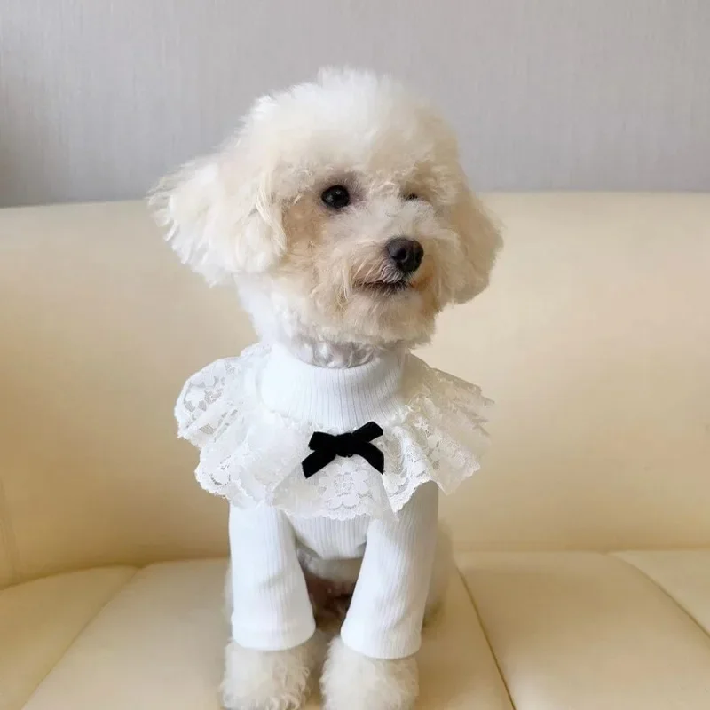 Falda de encaje para cachorros, abrigo Base de cuello alto para invierno para perros pequeños, ropa de dos patas para mascotas, ropa de oso de peluche para perros pequeños, abrigo Base cálido - imagen 3