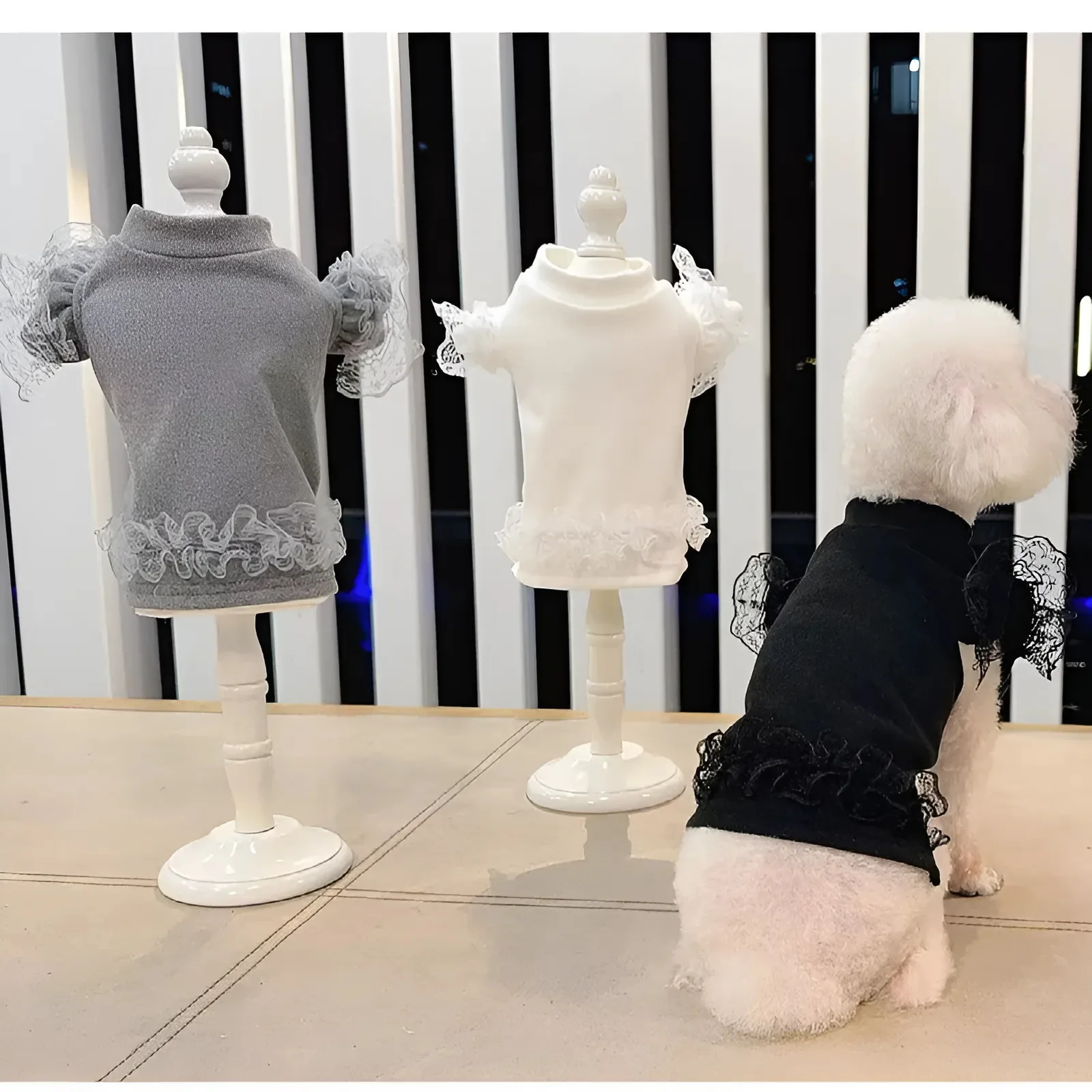 Camisa inferior de encaje para perros de otoño/invierno para mascotas, camiseta sin mangas con mangas voladoras de peluche para gatos, ropa para perros pequeños, ropa para cachorros - imagen 2