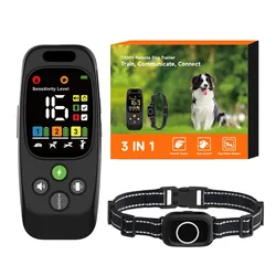 Collar antiladridos para perros: adiestramiento eficaz