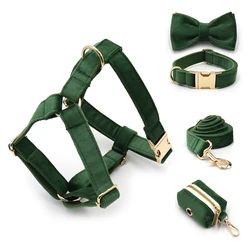 Collar de terciopelo verde para perros con correa y arnés