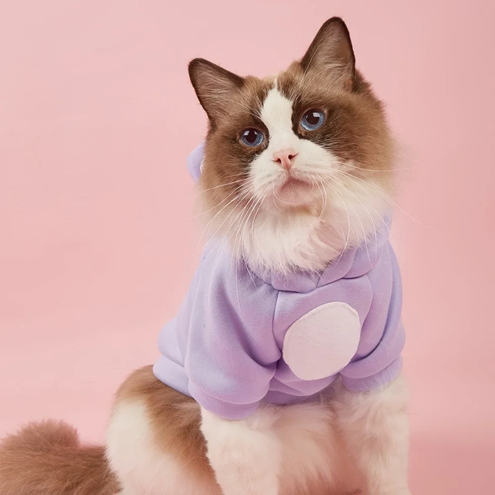 Ropa bonita sin pelo para gatos, disfraces de invierno para mascotas, sudadera con capucha Sphynx, suéter, trajes para mascotas, ropa para perros, katten kleding - imagen 3