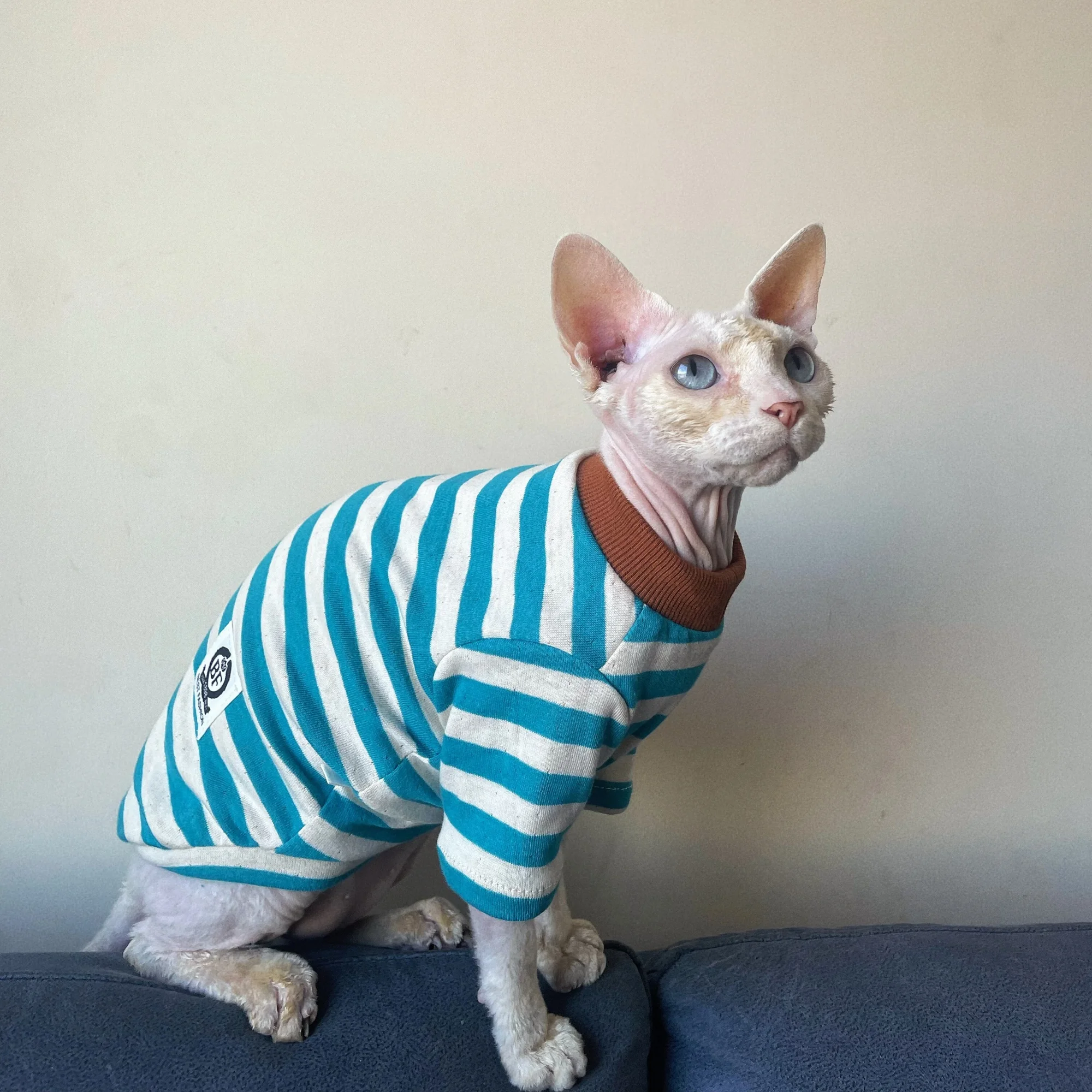 Camiseta azul de algodón a rayas de otoño para gato sin pelo, abrigo rojo suave y cálido de manga larga para pijamas de invierno Sphynx Cat para Devon Rex
