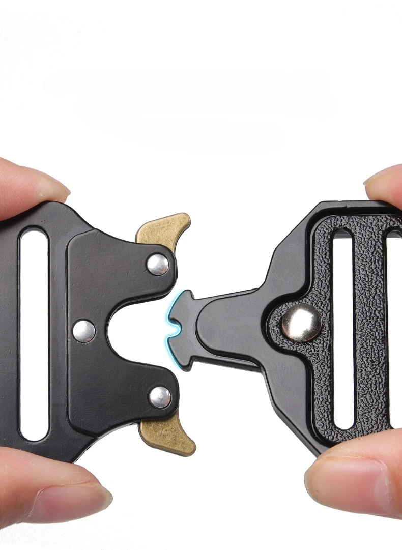 Collar táctico en posición de uso con perro grande
