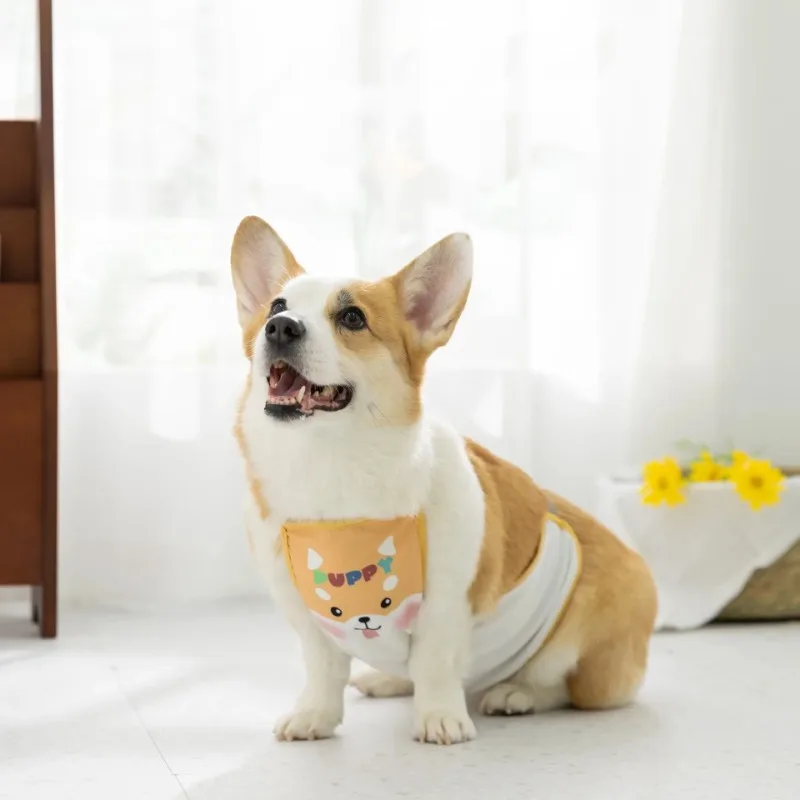 Ropa para mascotas con estampado de dibujos animados, ropa impermeable para el vientre, ropa para el vientre para perros pequeños y medianos, ropa Universal para las cuatro estaciones