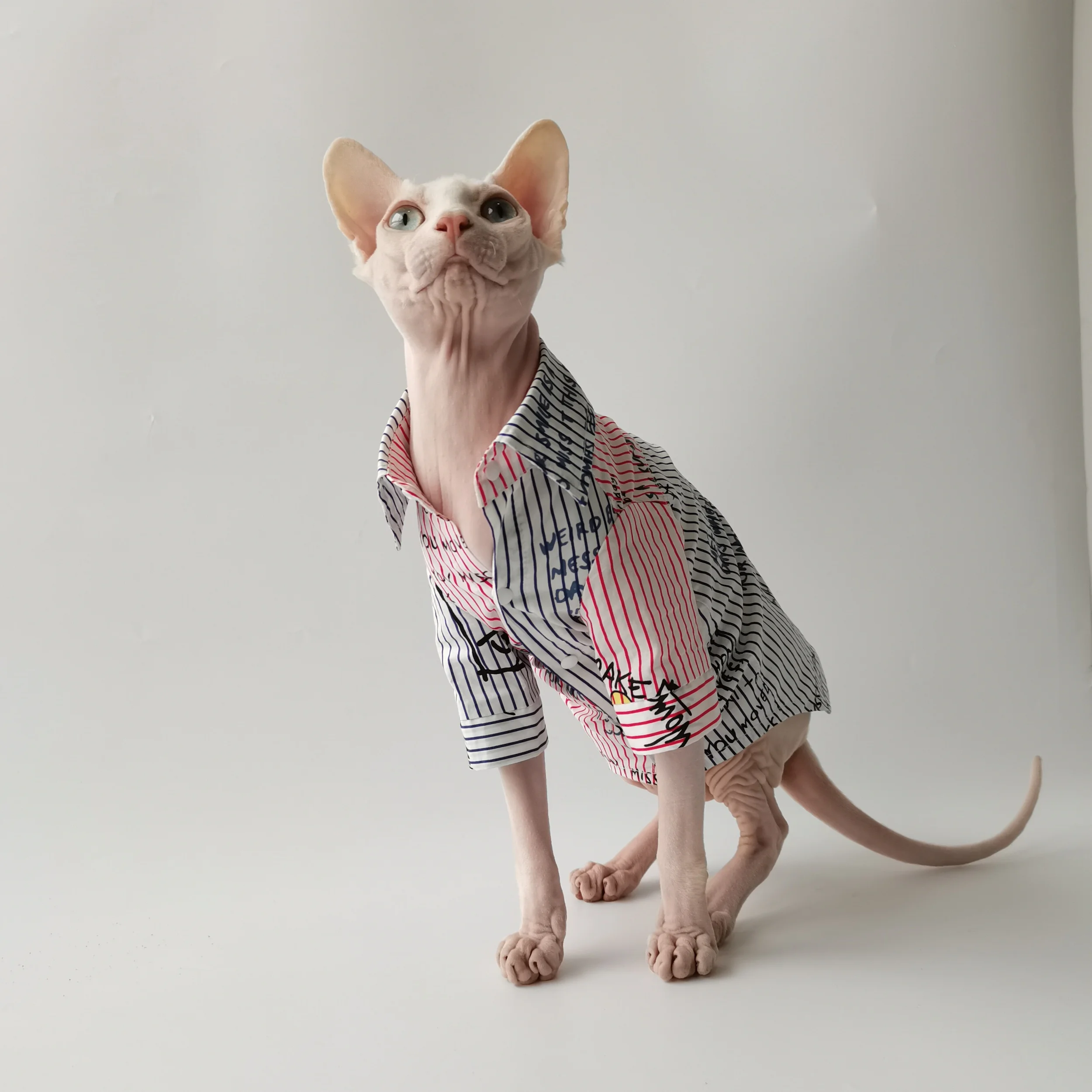 Jersey de algodón para gato Sphynx – Abrigo fino manga larga