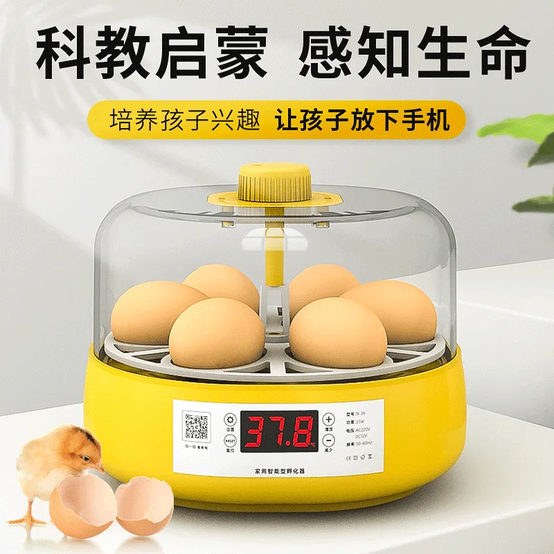 Incubadora automática doméstica para huevos – Fácil uso - imagen 2