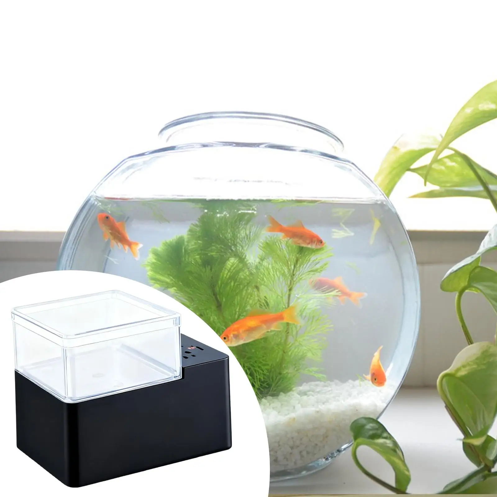 Auto Fish Food Dispenser for Circular Tank,Easy Installation with Timer,Sturdy Sealed Supplies Auto Food Dispenser Accessory