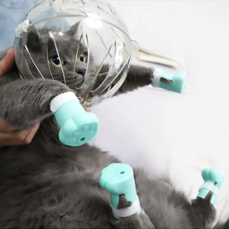 Bozal para gatos, bozal antilamer, casco antimordida, transparente, transpirable, capucha espacial para gatos, diseño con forma de orejas, accesorios para mascotas - imagen 3