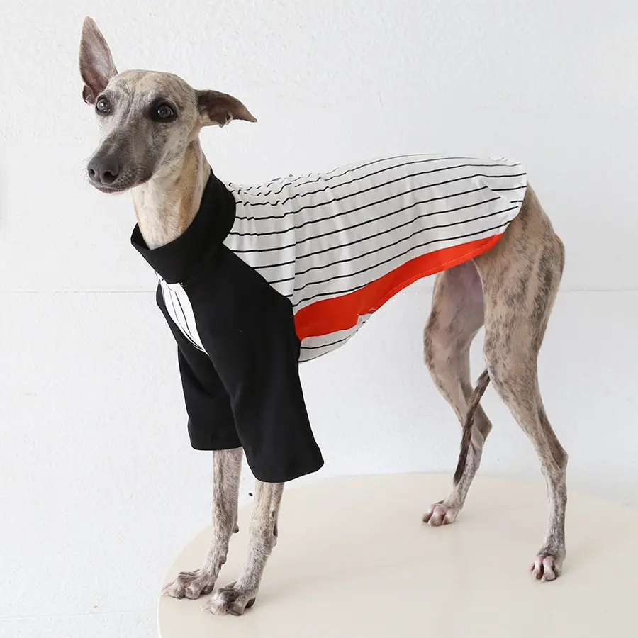 Camiseta algodón manga larga para galgo y whippet – Pijama perro - imagen 3