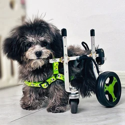 Silla de ruedas para perros con arnés patas traseras – Ajustable