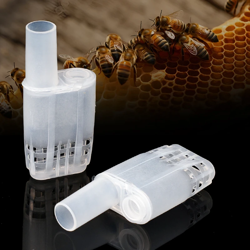 50/100 Uds jaulas de abeja reina protección de apicultura aislamiento de abeja reina plástico blanco movimiento herramientas de apicultura de abeja reina - imagen 5