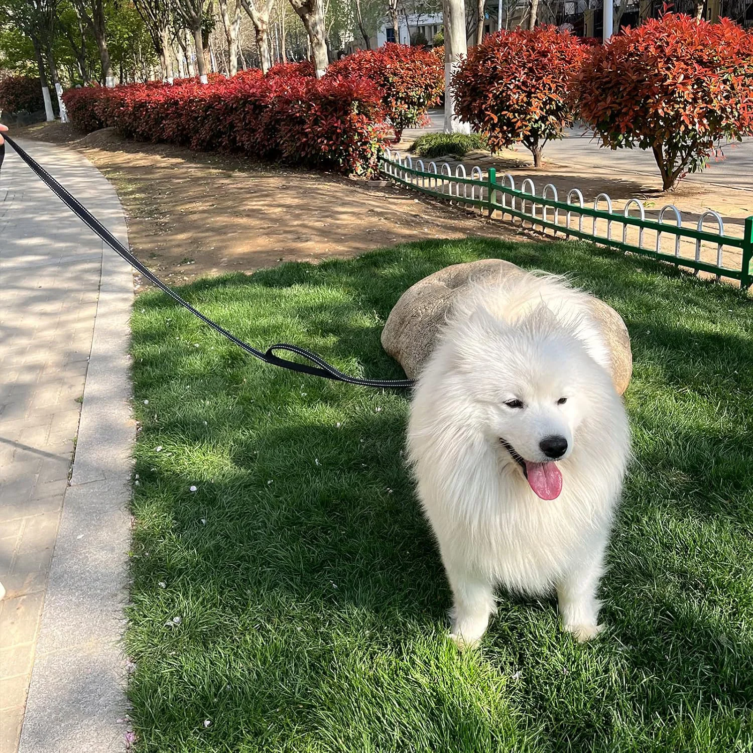 Correa para perro de doble asa resistente con tiras reflectantes para seguridad nocturna, Ideal para razas grandes y extragrandes, perfecta para - imagen 4