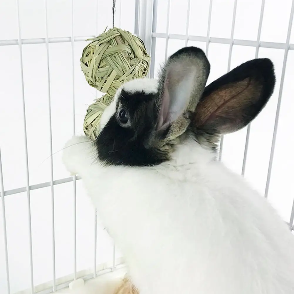 Conejo usando la bola de heno colgante
