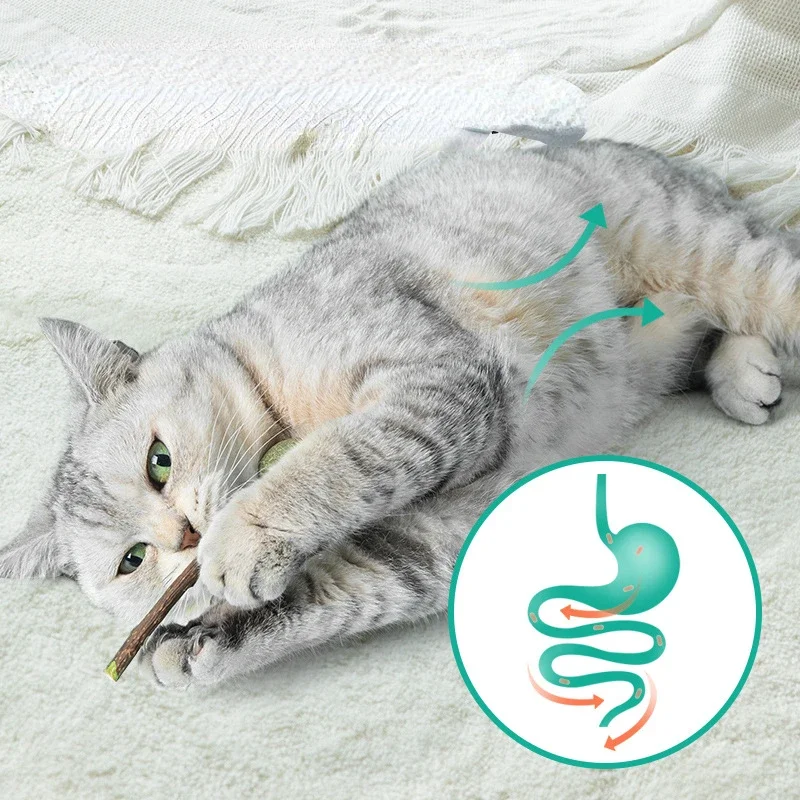 Juguetes de hierba gatera fresca con forma Linda para gato, Bola de Piruleta de menta Natural comestible, juguete de seguridad para mascotas, dientes limpios - imagen 3