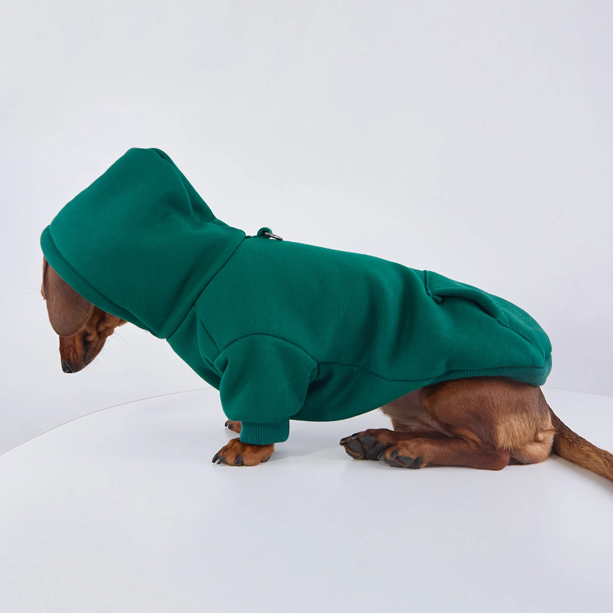 Chaqueta forro polar con capucha perros Dachshund, pequeños y medianos - imagen 4