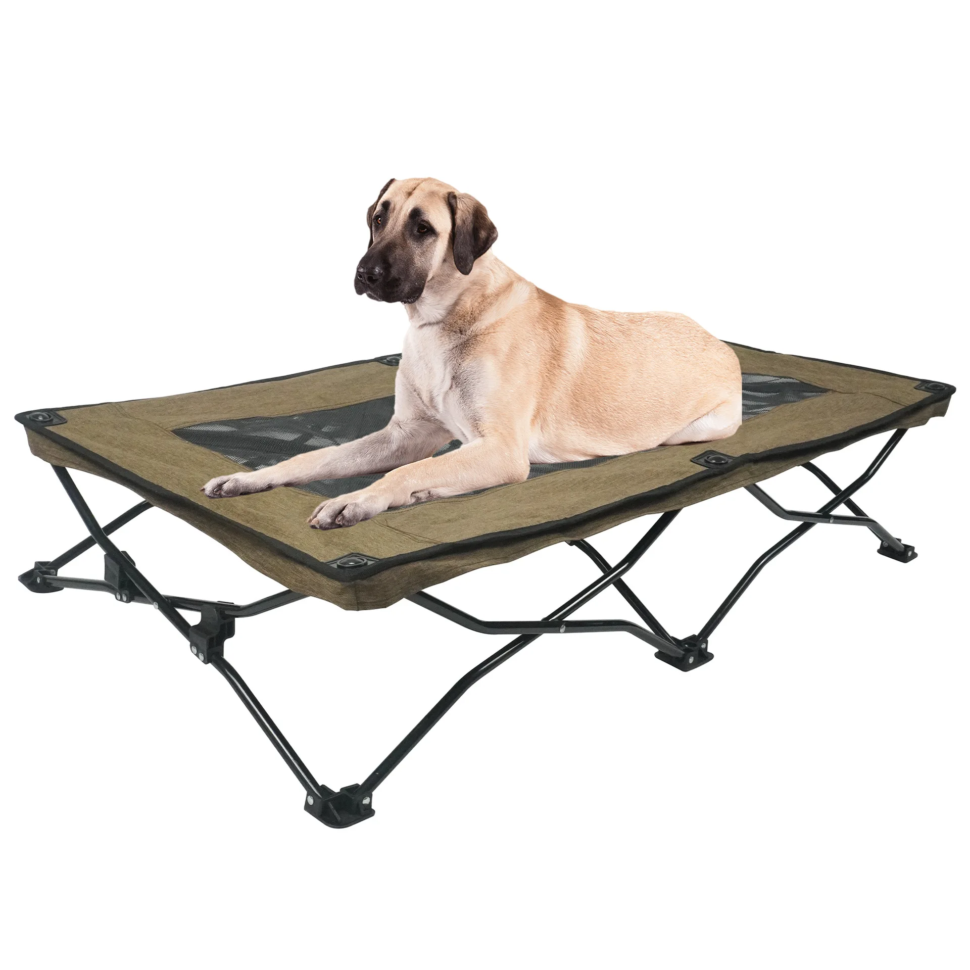 Cama elevada plegable para perros medianos y grandes - impermeable - imagen 5