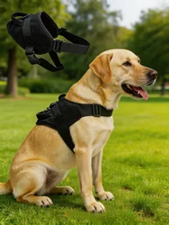 Ropa de moda primavera para perros y cachorros premium – Uso diario