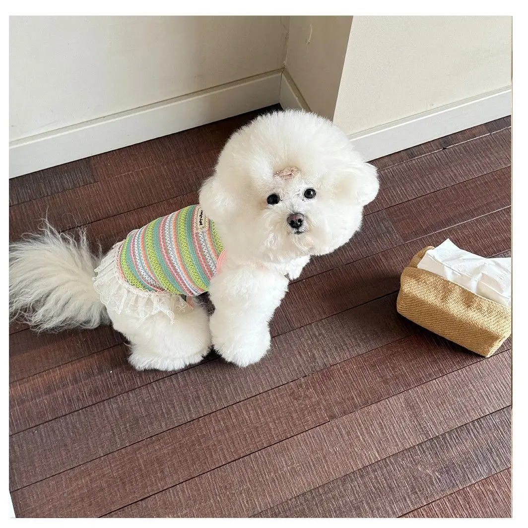 Chaleco a rayas de arcoíris para mascotas, falda con tirantes tejida hueca transpirable para gatos, vestido de encaje, vestidos para perros pequeños, primavera - imagen 4