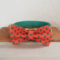 Dog Collar Bow Tie