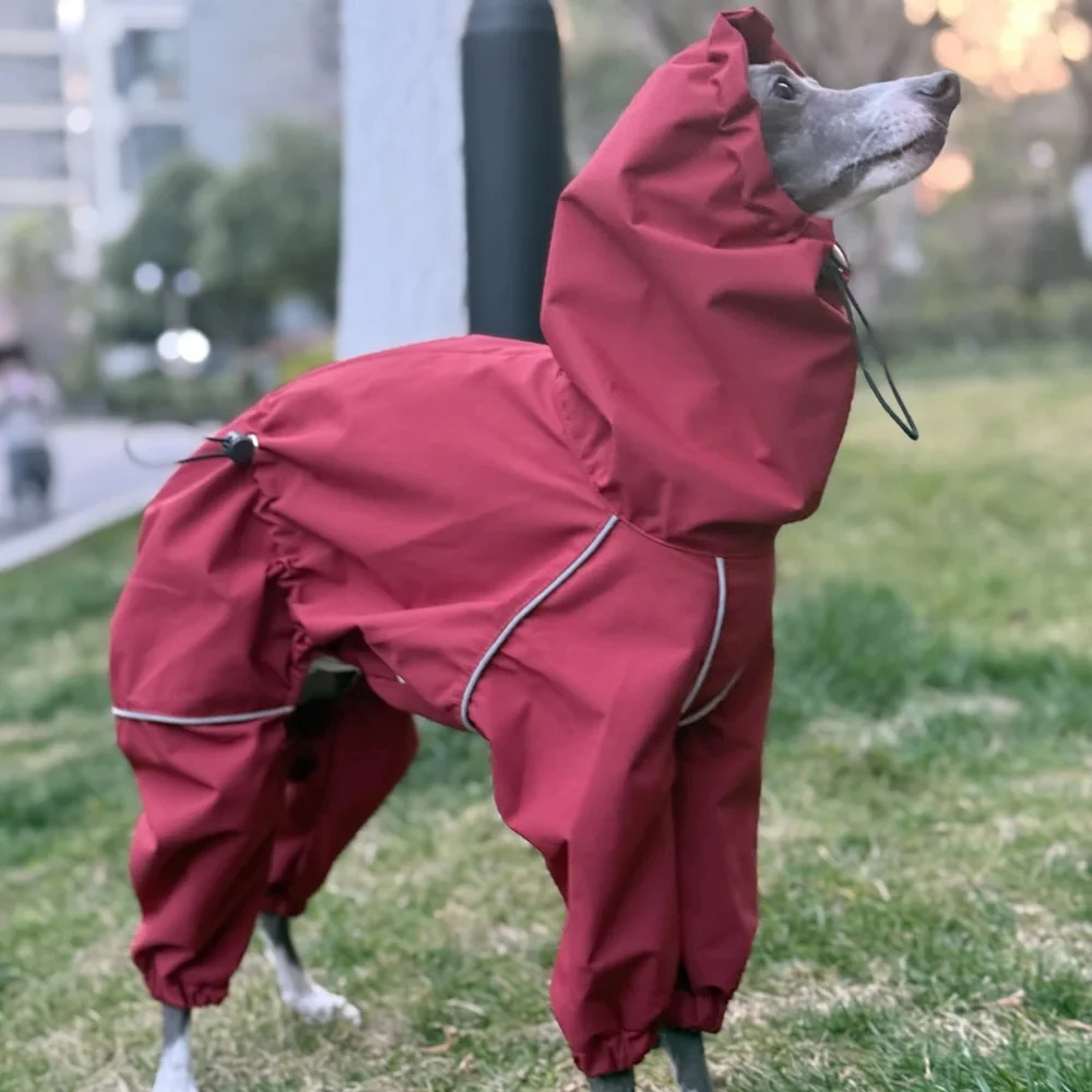 Chaqueta intercambiable Whipbit galgo impermeable roja a la moda impermeable para perros Bedlington de 4 patas a prueba de viento con tira reflectante - imagen 4