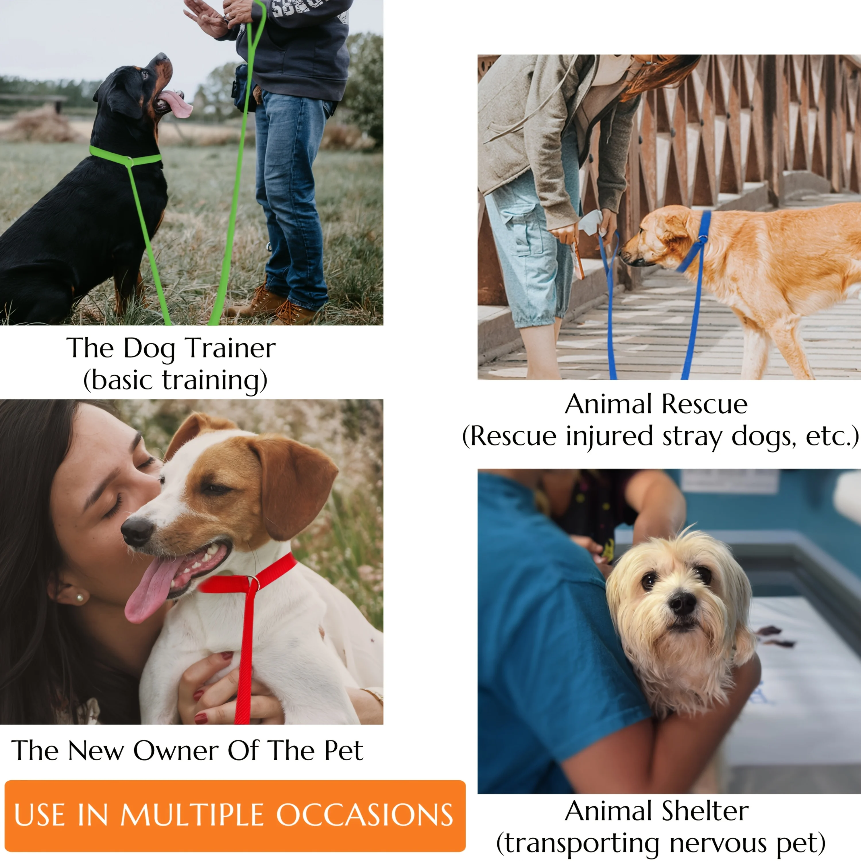 6 piezas de correas coloridas para perros de poliéster duraderas de 182,88 cm con juntas tóricas de metal para el cuidado, caminar y entrenar mascotas, varios colores, adecuadas para perros y gatos, no se requieren baterías, correa de entrenamiento para perros |     Vitalidad Cuerda |     Cuerda duradera - imagen 5