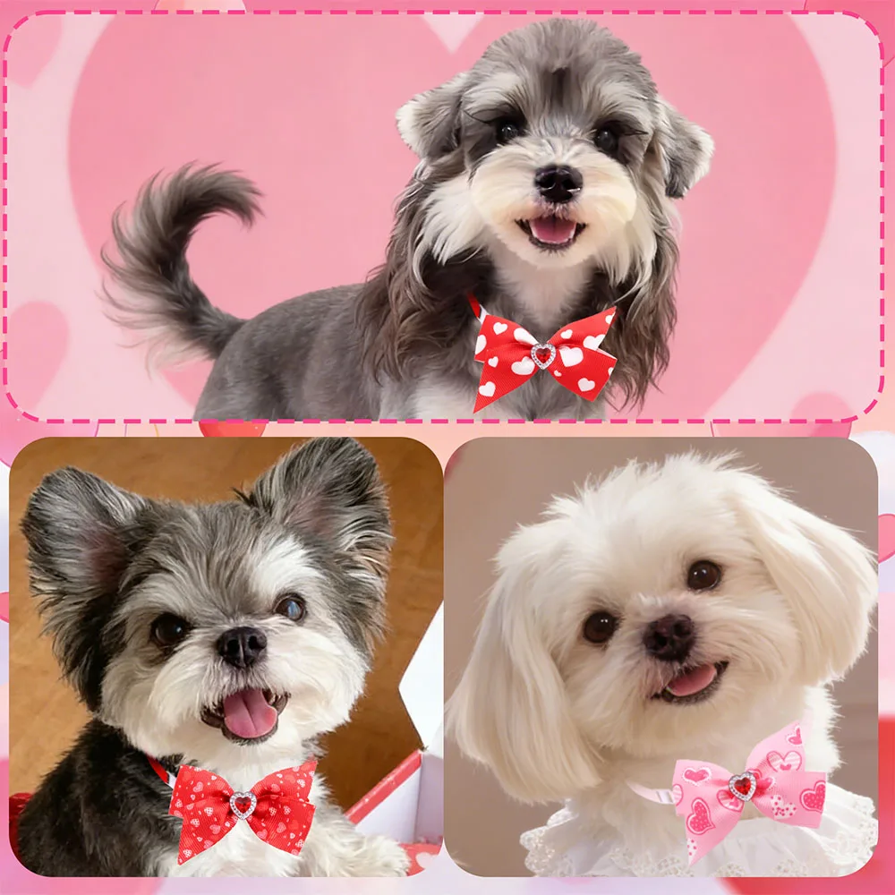 Pajarita de diamante para perro – Collar ajustable para mascotas - imagen 3
