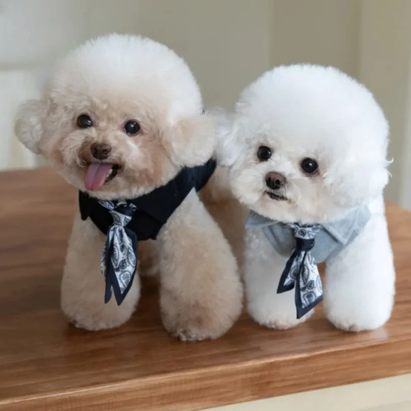 Chaleco de invierno para perros pequeños con bufanda integrada - imagen 4