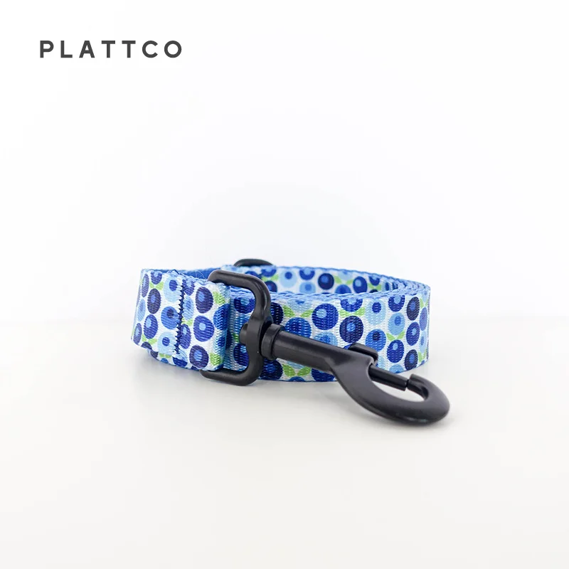 PLATTCO-collar de nailon con pajarita para perro, conjunto de correa BLUE BERRY BOX, collar personalizado con hebilla de seguridad para pequeños, medianos y grandes PDC328